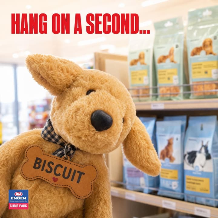 Engen Curie Park: biscuit posh pets carousel, slide 1